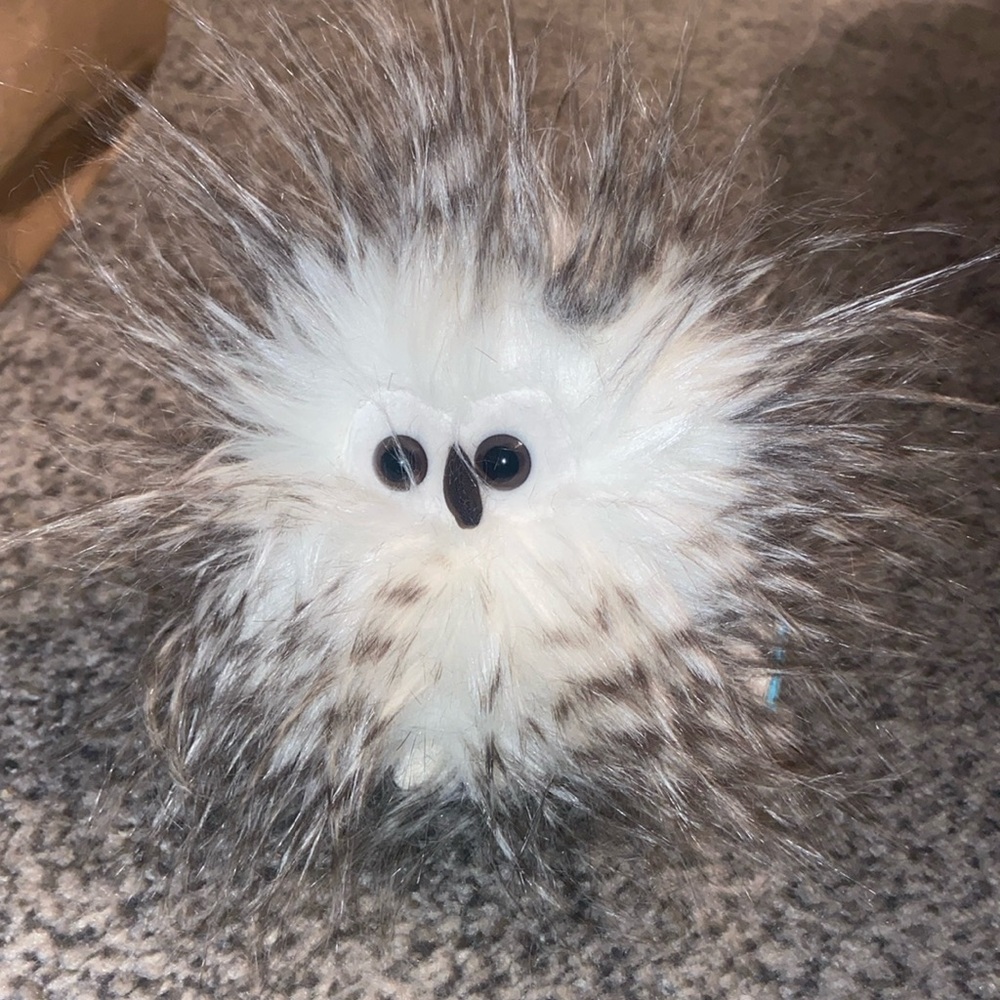 New with tags Jellycat Bertie Owlet owl 2022
